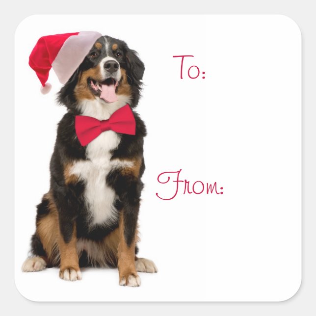 Étiquettes de cadeau de Père Noël Berner (Devant)
