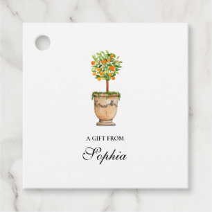 Étiquettes de cadeau topiaire d'arbre de citrus aq