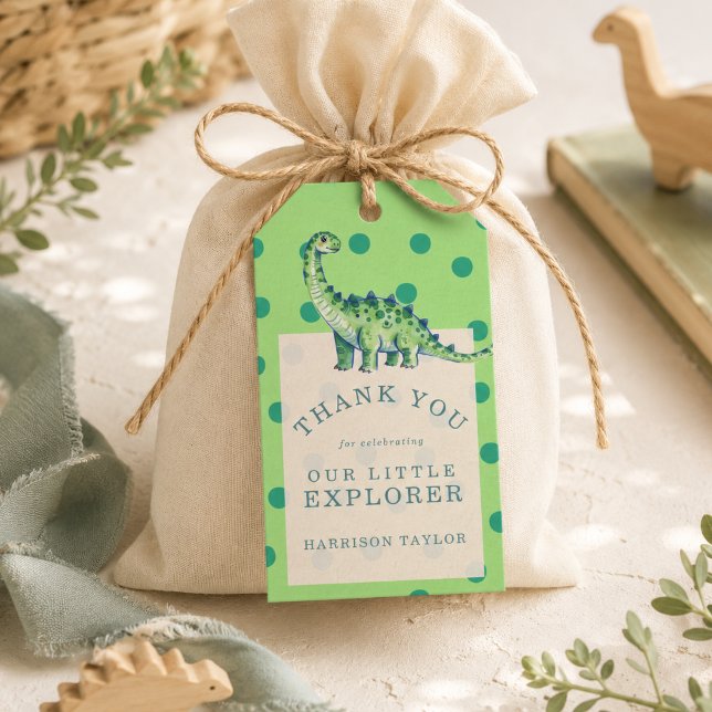 Étiquettes de cadeaux pour le premier anniversaire (Little Explorer Dinosaur First Birthday Favor Tags)