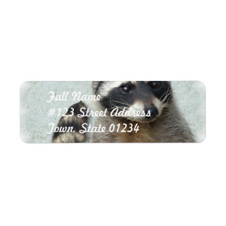 Étiquettes de la poste de Raccoon à anneau