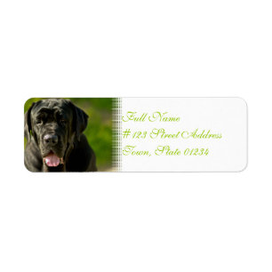 Étiquettes de messagerie Black Mastiff