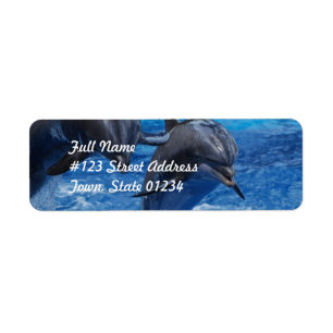 Étiquettes de messagerie Dolphin Jumping