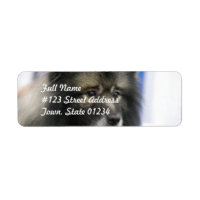 Étiquettes de messagerie Keeshond