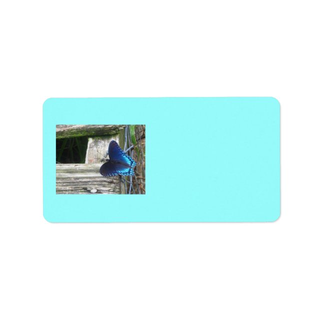 Étiquettes de repos papillon bleu (Devant)