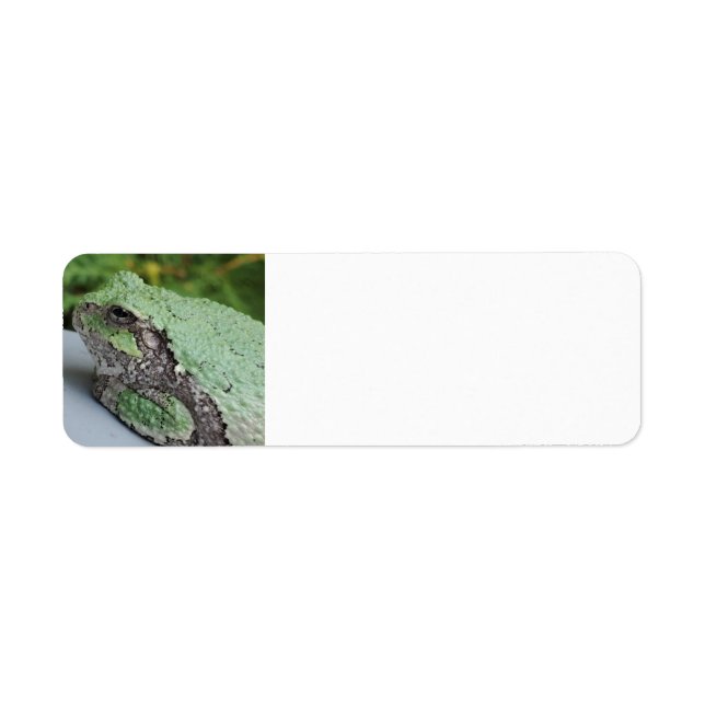 Étiquettes de retour de grenouille arborescente (Devant)