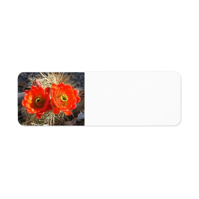 Étiquettes de retour de la fleur de cacus (Devant)