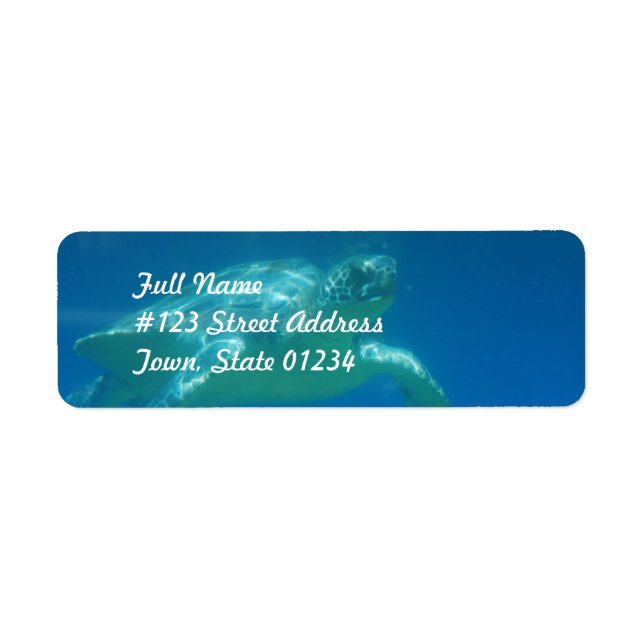 Étiquettes de voile de tortue de mer (Devant)