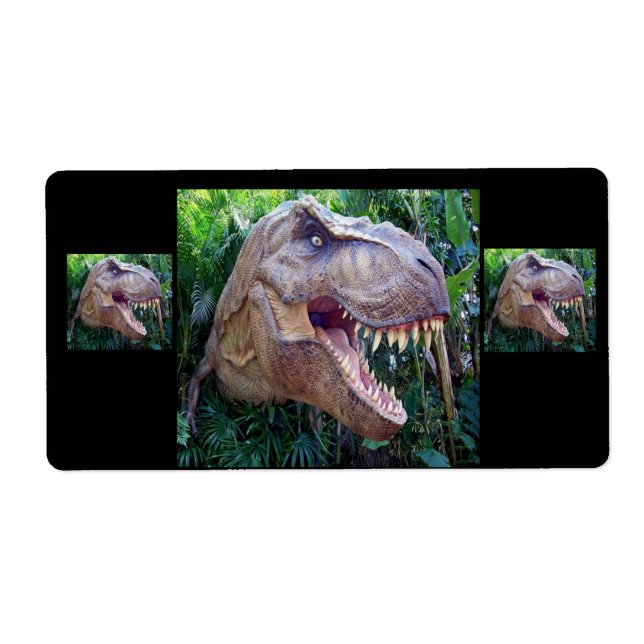 Étiquettes dinosaures pour enfants (Devant)