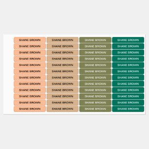 Étiquettes en fer ColorFlex