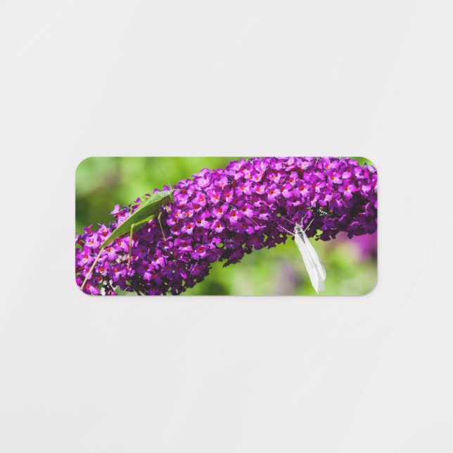 Étiquettes énergie katydone (Design 1)