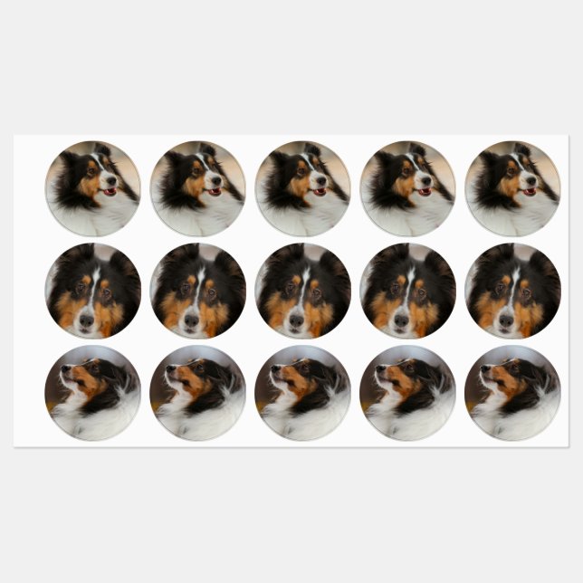 Étiquettes Étagère (Feuille)