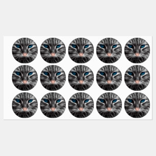 Étiquettes Face de chat bleu magnifique