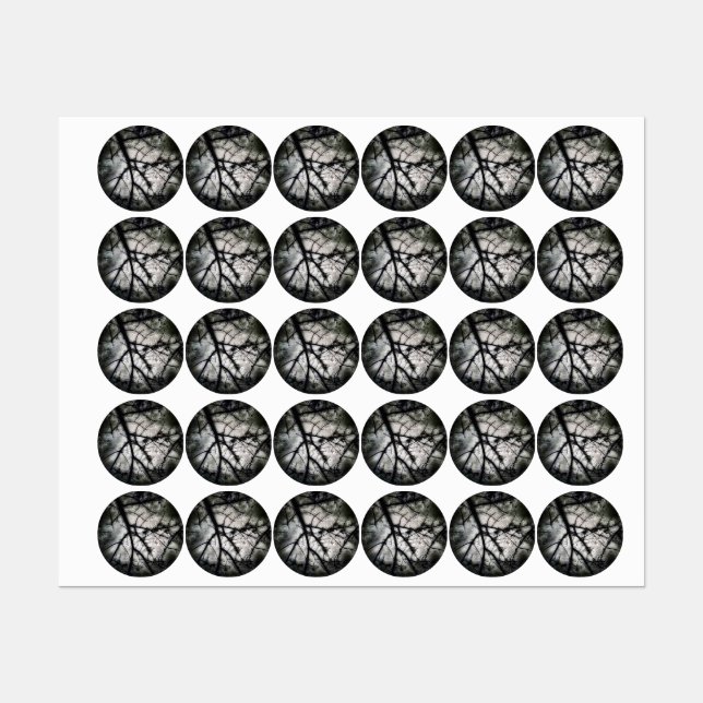 Étiquettes Fermeture (Feuille)