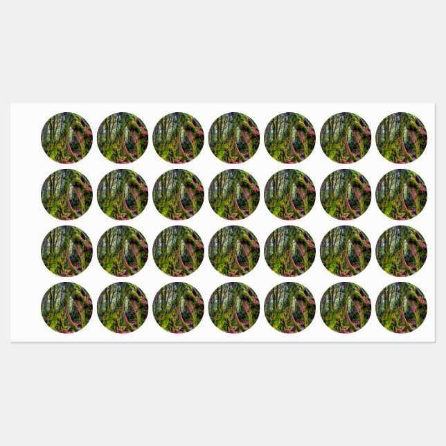 Étiquettes Forêt moussue (Feuille)