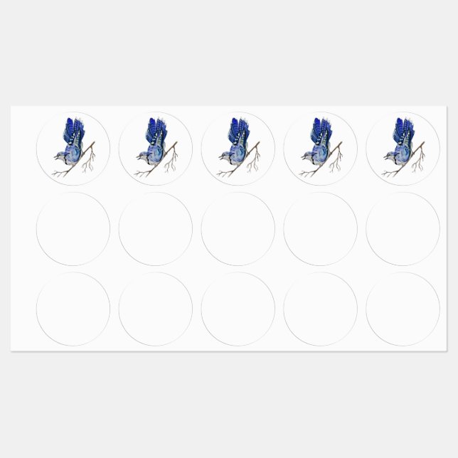 Étiquettes Jay bleu d'oiseau de la forêt (Feuille)