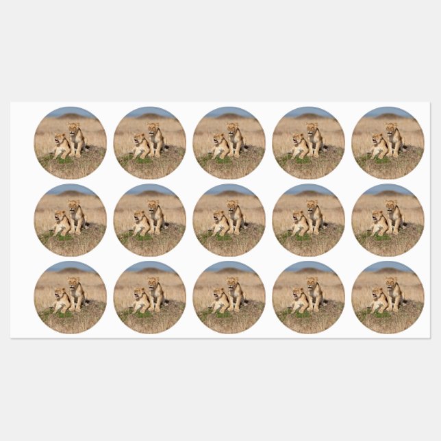 Étiquettes Jeunes lions (Feuille)
