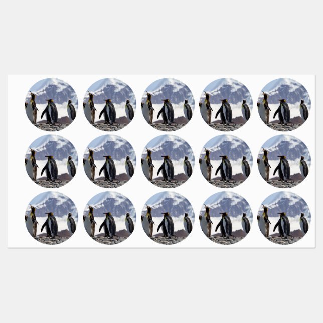 Étiquettes Le roi Penguins de Géorgie du Sud (Feuille)