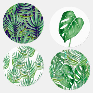 Étiquettes Les immenses feuilles de palmiers et de monstère