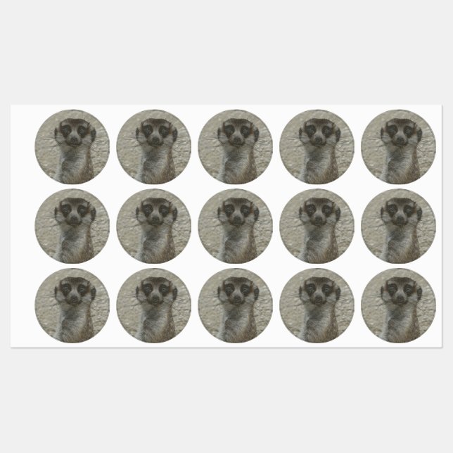 Étiquettes meerkat métallique (Feuille)
