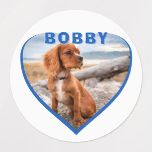 Étiquettes Nom photo du chien Coeur bleu Chien