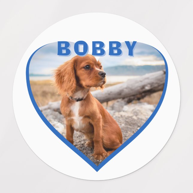 Étiquettes Nom photo du chien Coeur bleu Chien (Design 1)