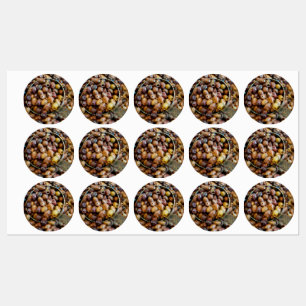Étiquettes Oliviers de Leccino noirs laqués et séchés