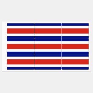 Étiquettes patriotiques avec drapeau du Costa Rica