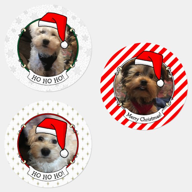Étiquettes Personnalisé Trois Photo Animaux de Noël Santa Hat (Groupe)