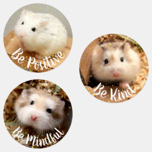 Étiquettes Positivité - Hammyville Cute Hamsters
