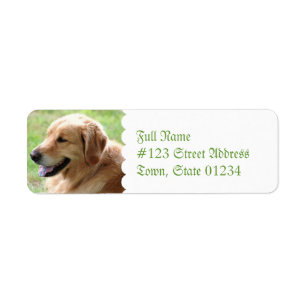 Étiquettes postales d'adresse de retour de chiot