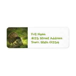 Étiquettes postales de la Turquie