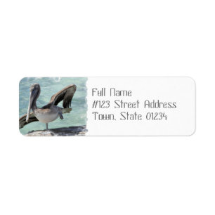 Étiquettes postales de pélican