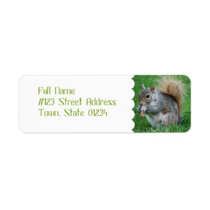 Étiquettes postales grises d'écureuil