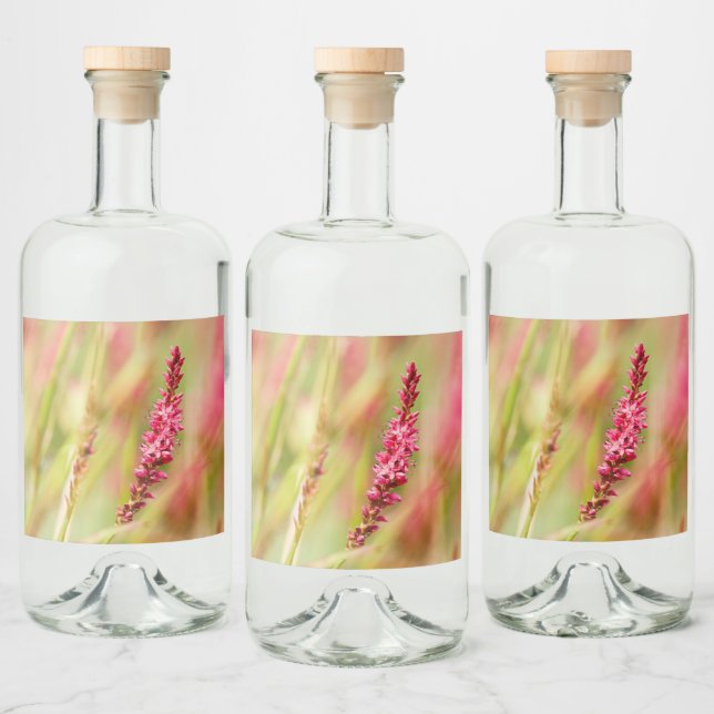 Étiquettes Pour Bouteilles De Liqueur coloris (Bouteilles)