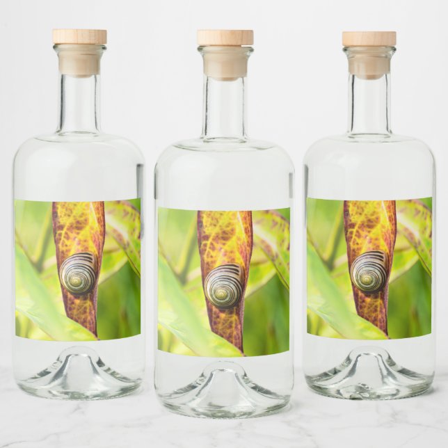 Étiquettes Pour Bouteilles De Liqueur fixation calme (Bouteilles)