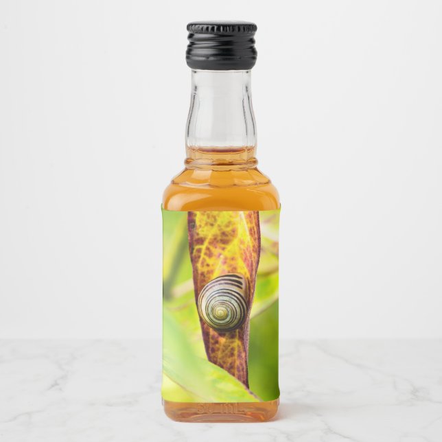 Étiquettes Pour Bouteilles De Liqueur fixation calme (Devant)