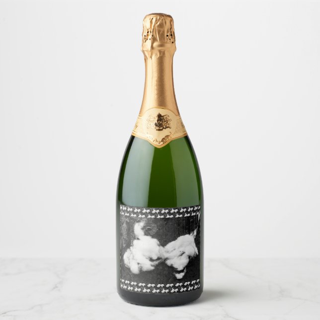 Étiquettes Pour Bouteilles De Vin Mousseux duvet (Devant)