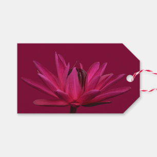 Étiquettes roses de cadeau de nénuphar de