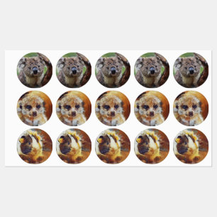 Étiquettes Smartmix Animaux 1220