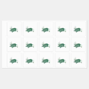 Étiquettes Tortue marine verte