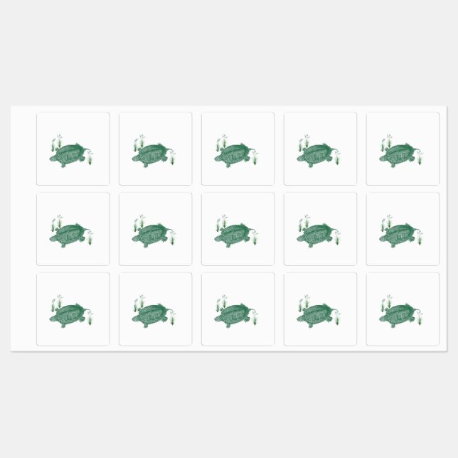 Étiquettes Tortue marine verte (Feuille)