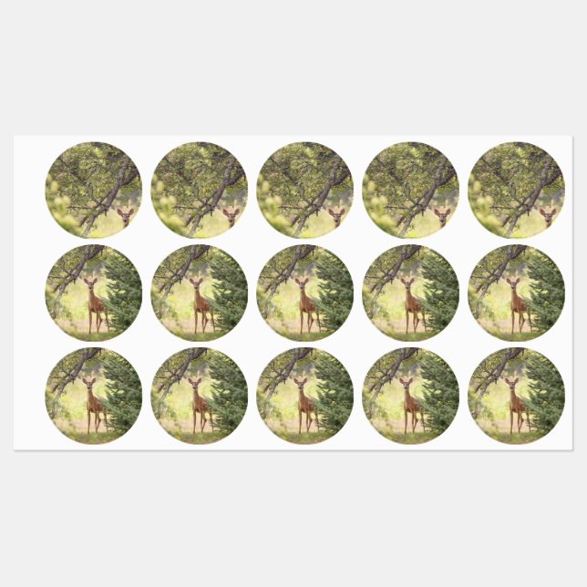 Étiquettes Un cerf solitaire  (Feuille)