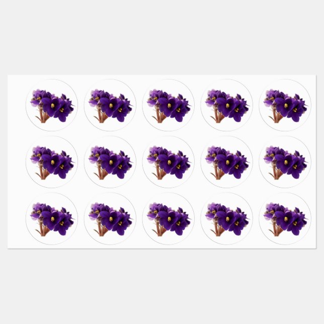Étiquettes Violet africain (Feuille)