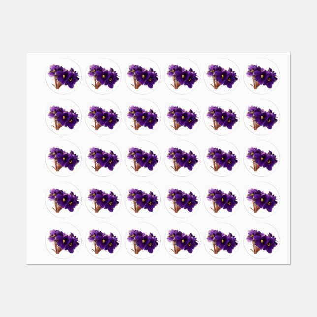 Étiquettes Violet africain (Feuille)