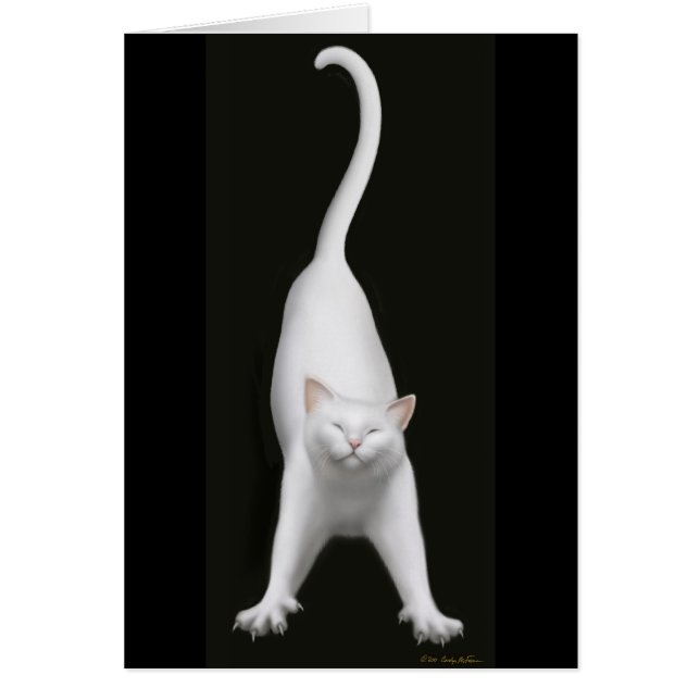 Étirage de la carte blanche de chat (Devant)