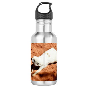 Étirement blanc Meerkat, Bouteille d'eau