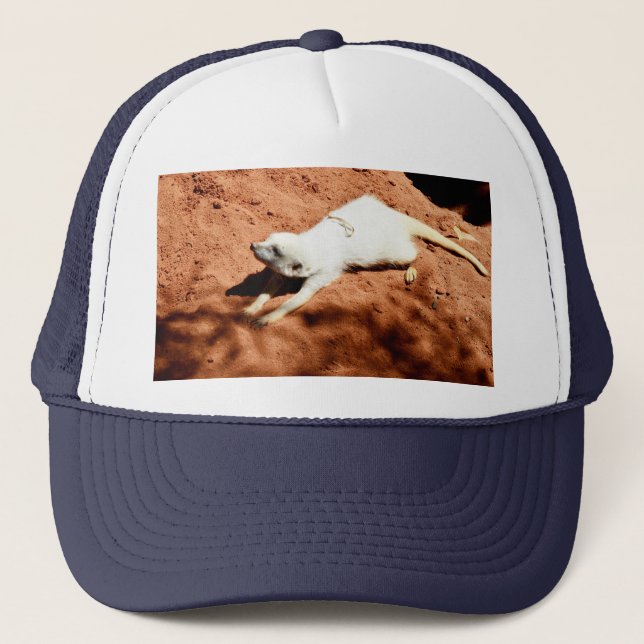 Étirement blanc Meerkat, Casquette de camions (Devant)