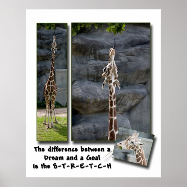 Étirez votre affiche (Devant)