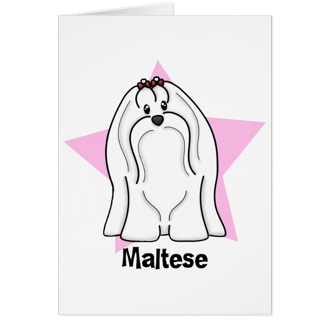 Étoile de Kawaii maltaise (Devant)