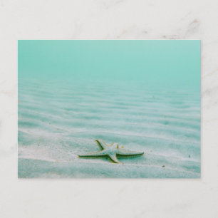 ÉTOILE DE MER SUR FOND MARIN CARTE POSTALE
